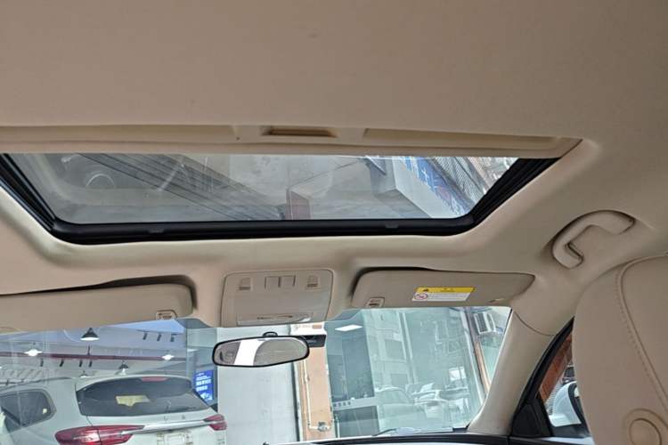 Used Buick Regal 2014 2.0L Leading Fashion Edition Headliner
