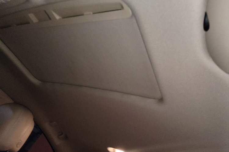 Used Buick Regal 2014 2.0L Elite Fashion Edition Headliner