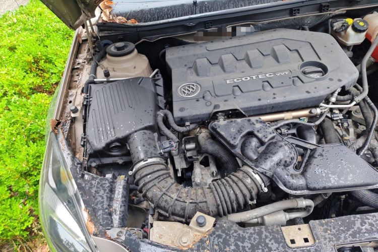 Used Buick Regal 2014 2.0L Leading Fashion Edition Engine Bay Right