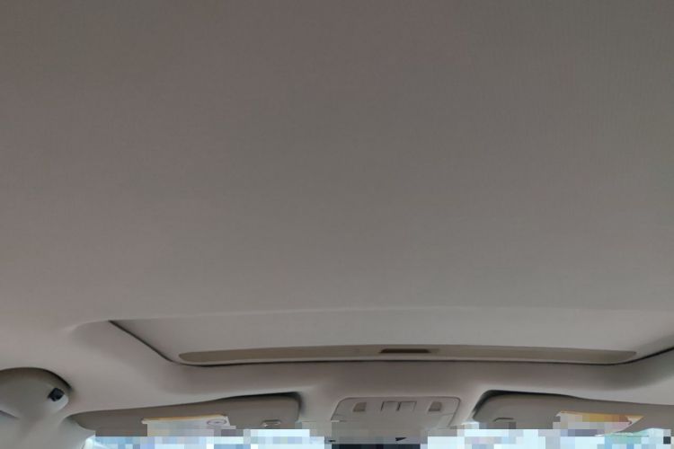 Used Buick Regal 2014 2.0L Elite Fashion Edition Headliner