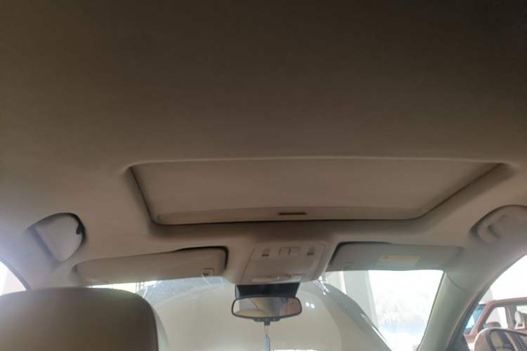 Used Buick Regal 2014 2.0L Elite Fashion Edition Headliner