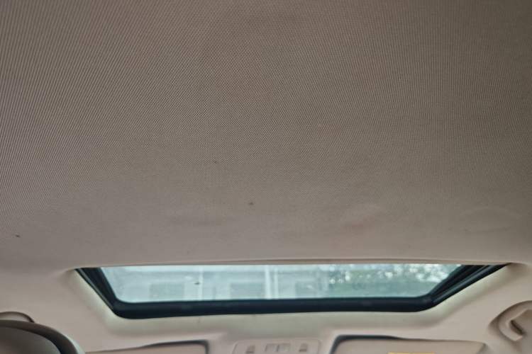 Used Buick Regal 2015 2.0L Elite Fashion Edition Headliner