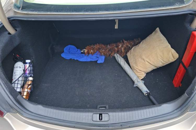 Used Buick Regal 2015 2.0L Elite Fashion Edition Trunk