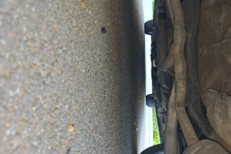 Used Buick Regal 2015 2.0L Leading Fashion Edition Chassis Rear