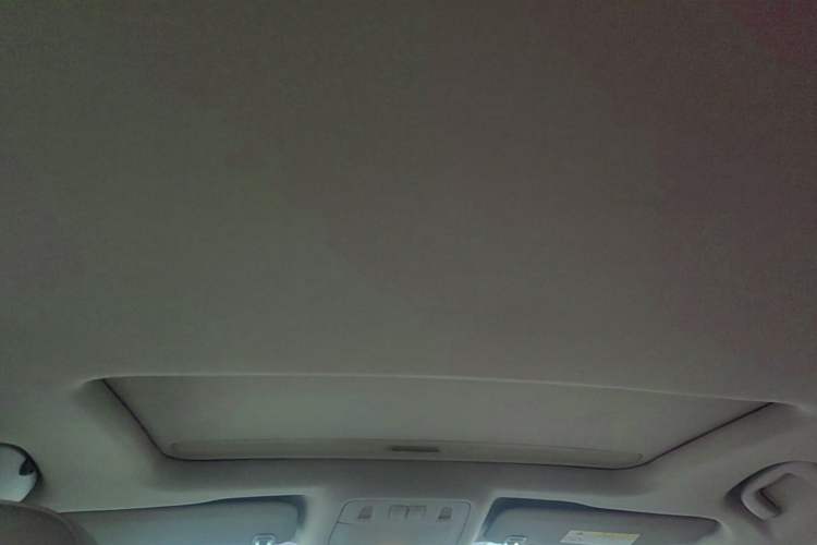 Used Buick Regal 2015 2.0L Elite Fashion Edition Headliner
