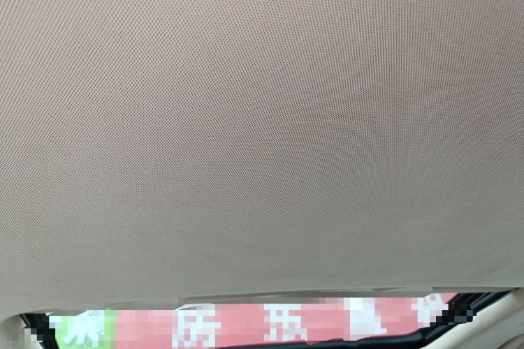 Used Buick Regal 2015 2.0L Leading Fashion Edition Headliner