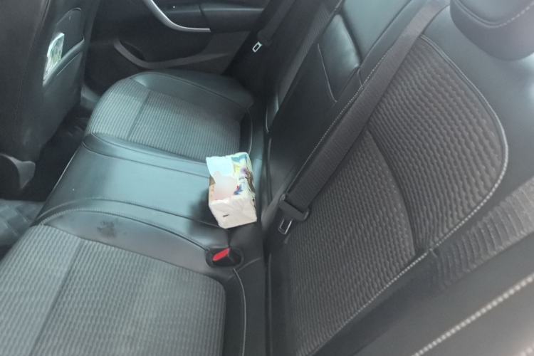 Used Buick Regal 2015 1.6T Leading Technology Model Left Rear Seat