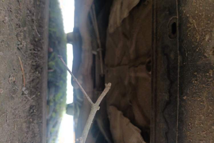 Used Buick Regal 2015 1.6T Elite Tech Model Chassis Rear