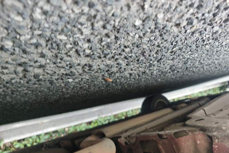 Used Buick Regal 2015 1.6T Fashion Tech Model Chassis Rear Left