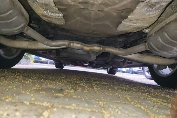 Used Buick Regal 2015 2.0L Leading Fashion Edition Chassis Rear