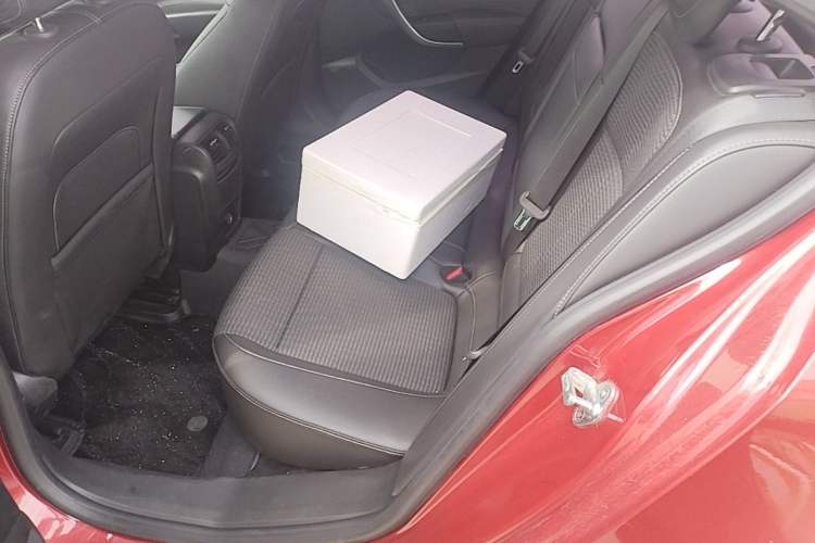 Used Buick Regal 2015 1.6T Leading Technology Model Left Rear Seat