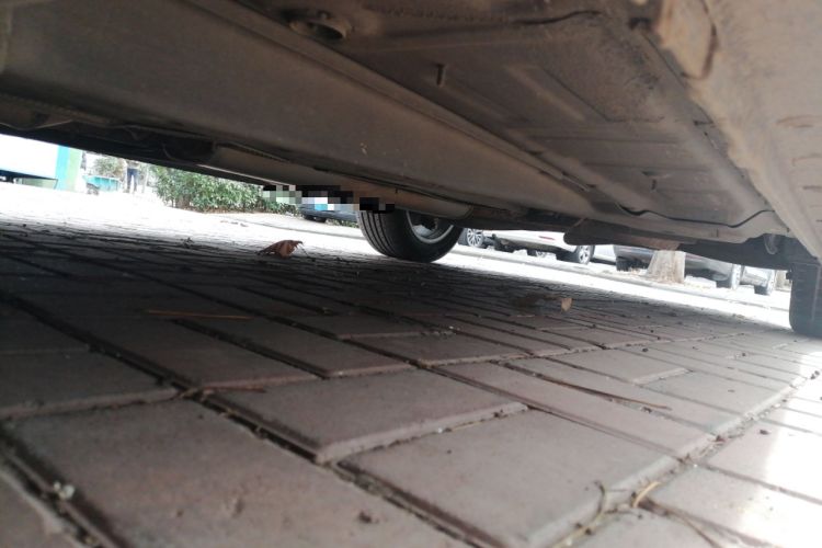 Used Buick Regal 2015 1.6T Leading Technology Model Chassis Front Left