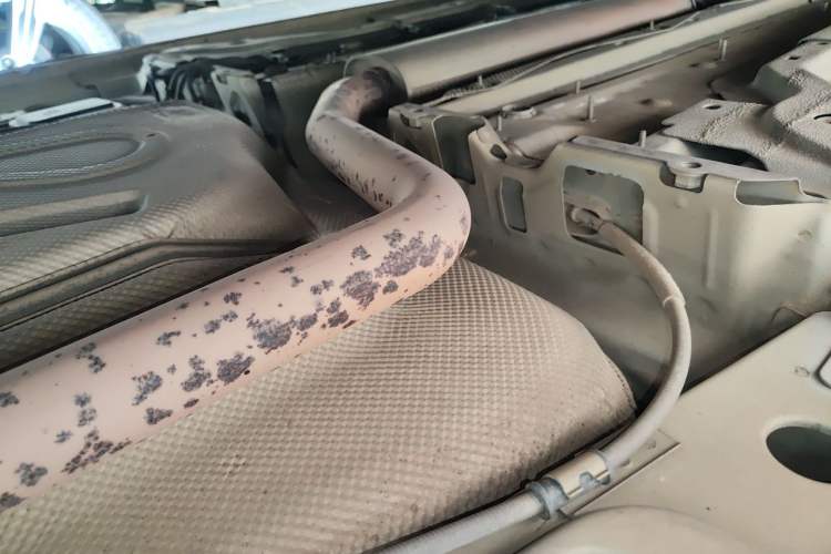 Used Buick Regal 2015 1.6T Leading Technology Model Chassis Rear Left