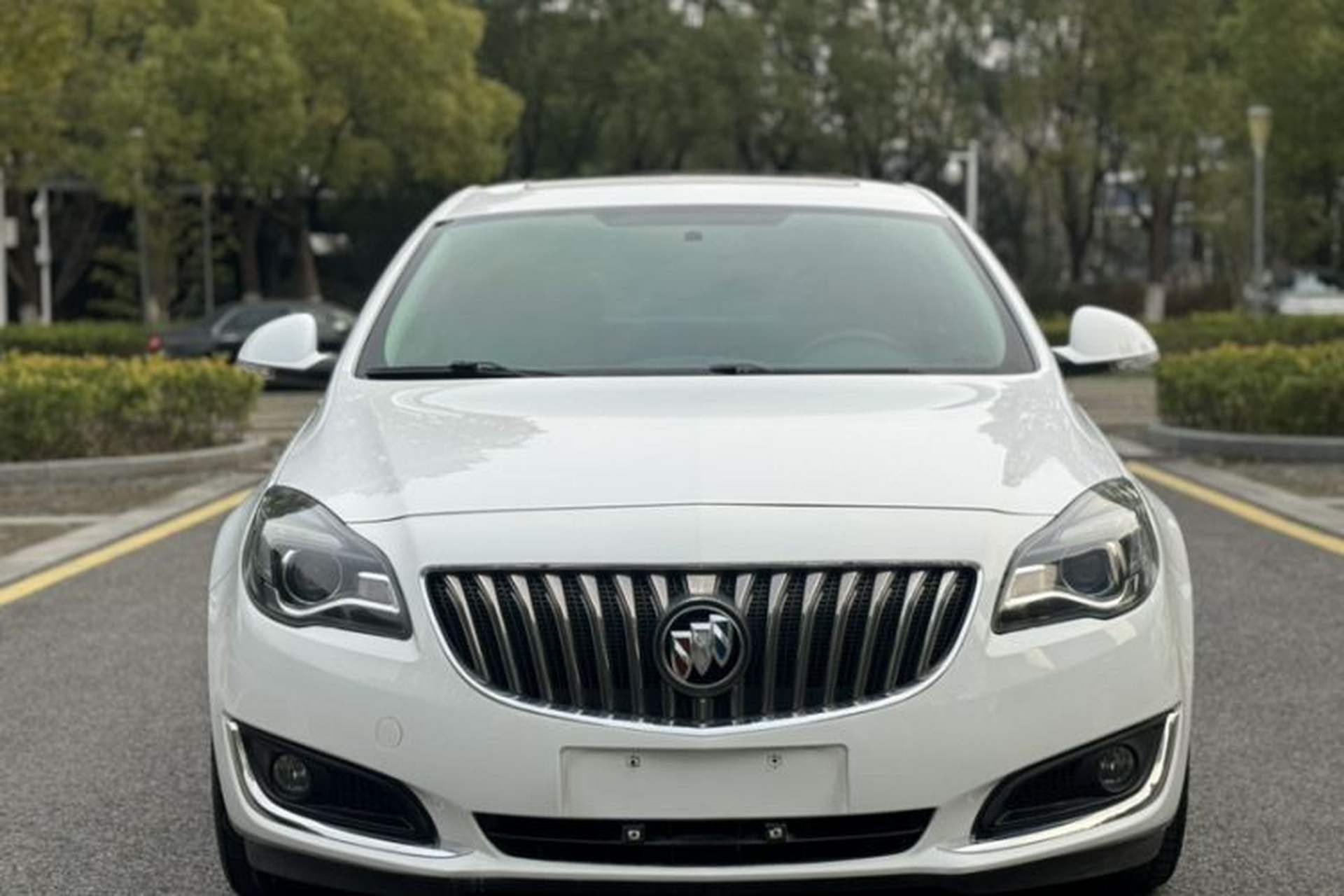 Used Buick Regal 2015 1.6T Leading Technology Model Exterior 1