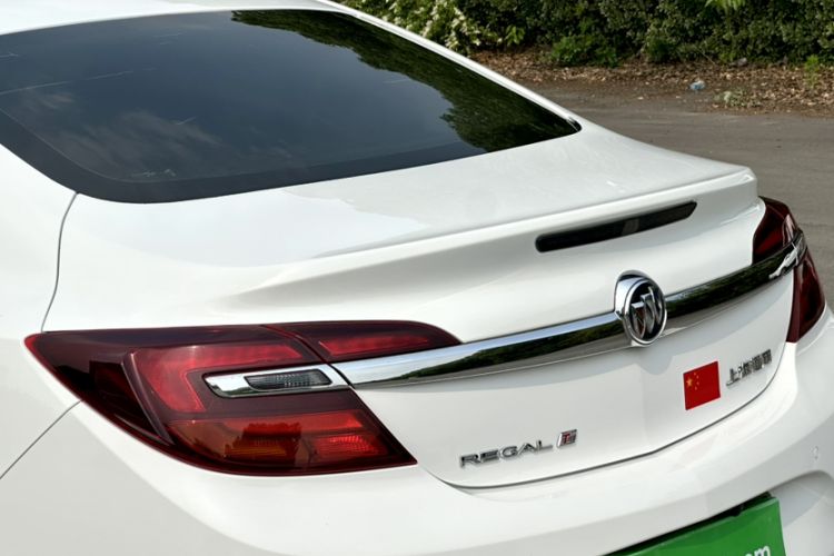 Used Buick Regal 2015 1.6T Leading Technology Model Exterior 7