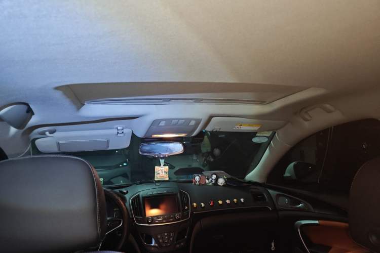 Used Buick Regal 2015 1.6T Elite Tech Model Headliner