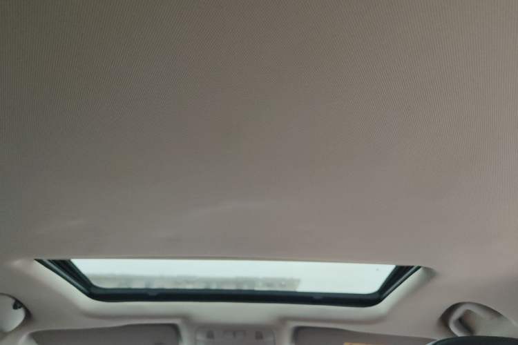 Used Buick Regal 2015 1.6T Elite Tech Model Headliner