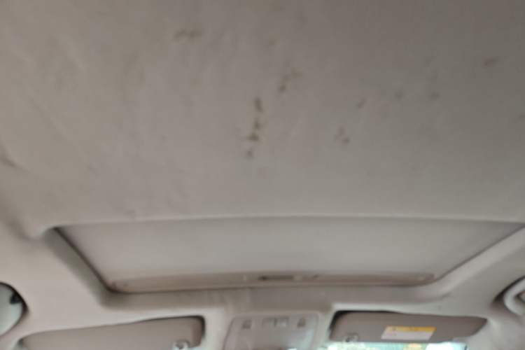 Used Buick Regal 2015 1.6T Elite Tech Model Headliner
