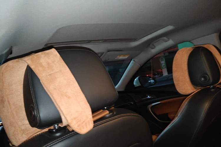 Used Buick Regal 2015 1.6T Elite Tech Model Headliner