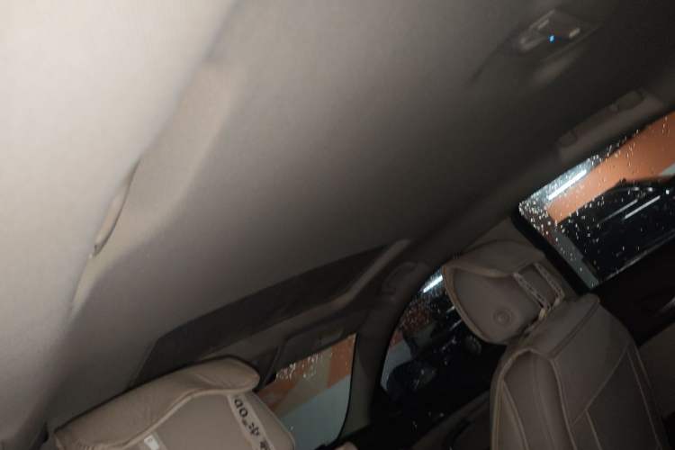 Used Buick Regal 2015 2.0L Elite Fashion Edition Headliner