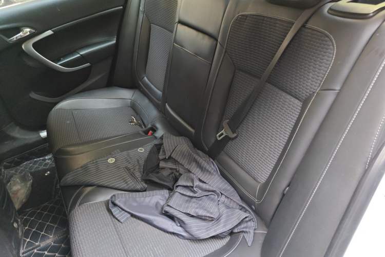 Used Buick Regal 2015 1.6T Leading Technology Model Left Rear Seat