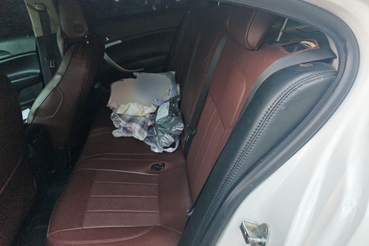 Used Buick Regal 2015 1.6T Leading Technology Model Left Rear Seat