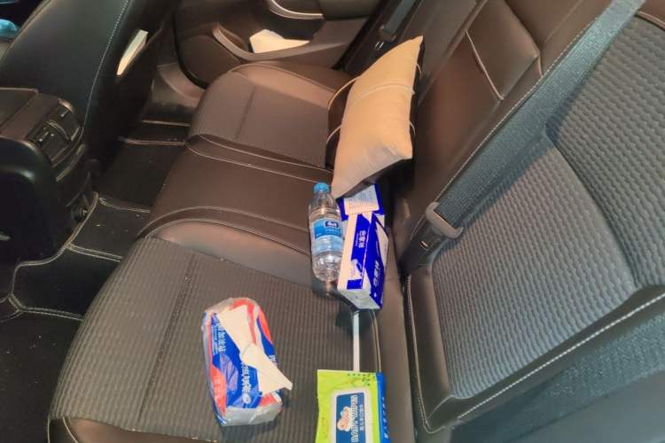Used Buick Regal 2015 1.6T Leading Technology Model Left Rear Seat
