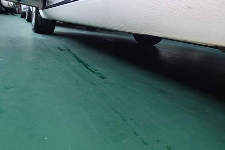 Used Buick Regal 2015 2.0L Leading Fashion Edition Left Side Sill