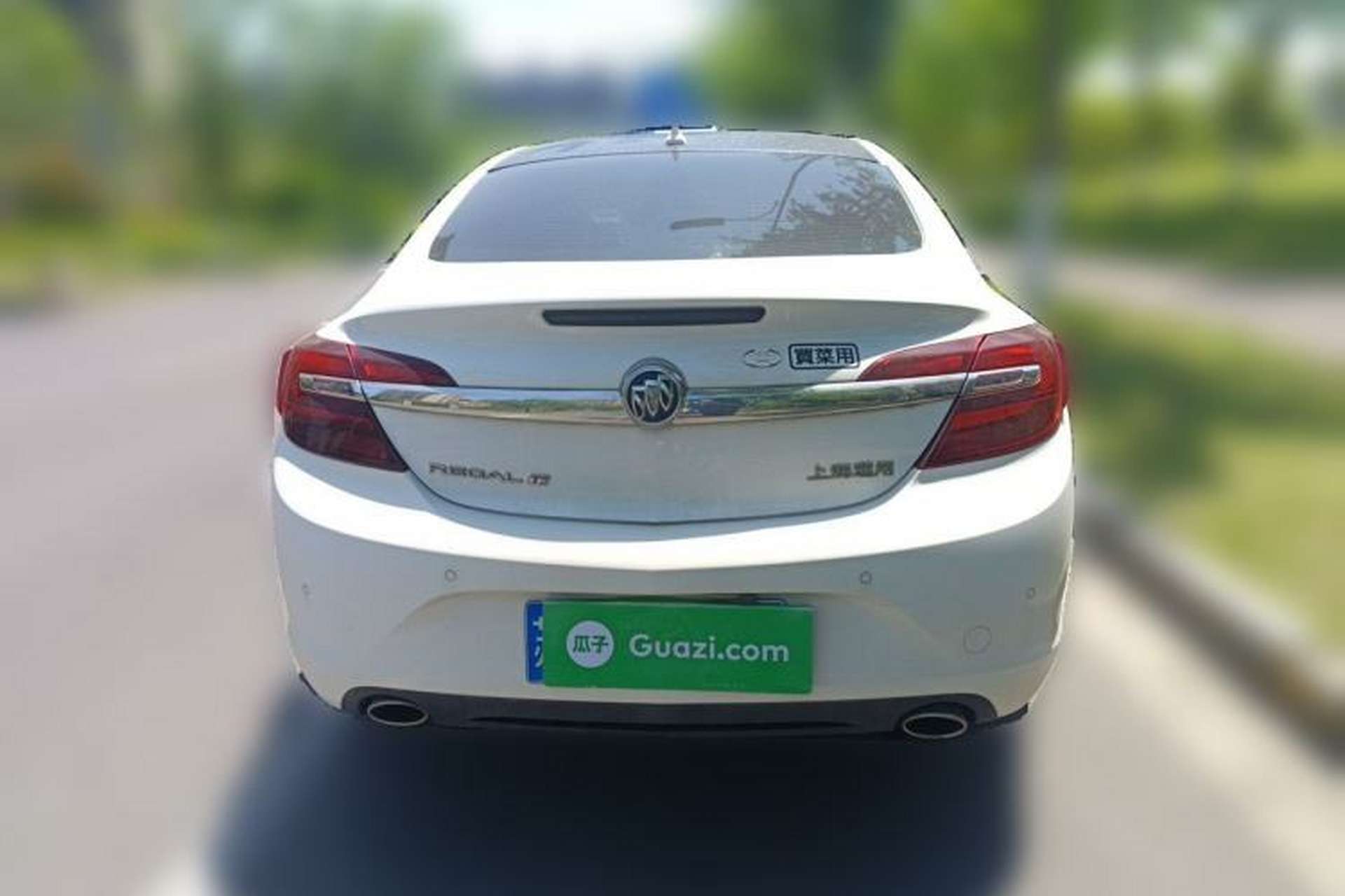 Used Buick Regal 2015 1.6T Leading Technology Model Rear