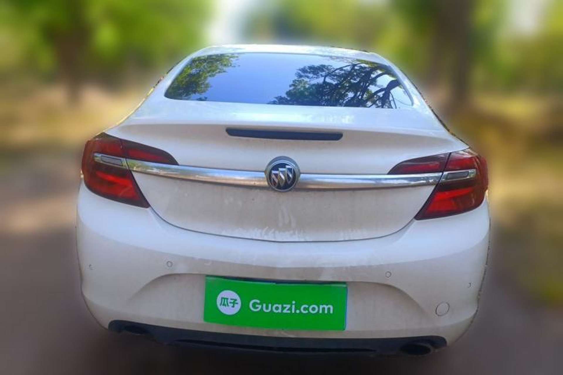 Used Buick Regal 2015 1.6T Leading Technology Model Rear