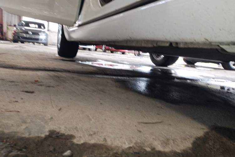 Used Buick Regal 2015 2.0L Leading Fashion Edition Right Side Sill