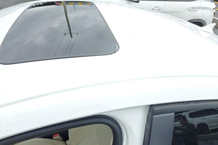 Used Buick Regal 2015 2.0L Leading Fashion Edition Roof
