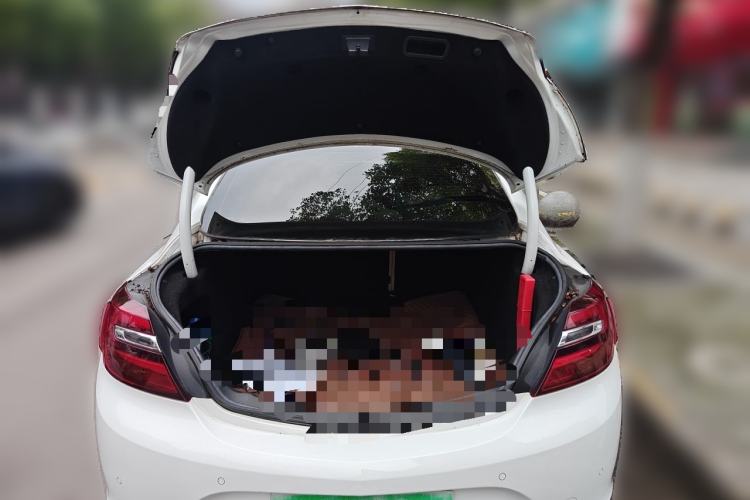 Used Buick Regal 2015 2.0L Leading Fashion Edition Trunk