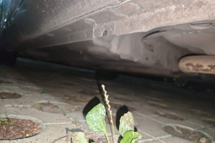 Used Buick Regal 2015 2.0L Leading Fashion Edition Chassis Rear Left