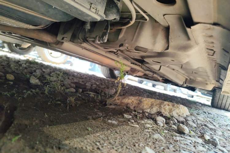 Used Buick Regal 2015 2.0L Leading Fashion Edition Chassis Rear Right