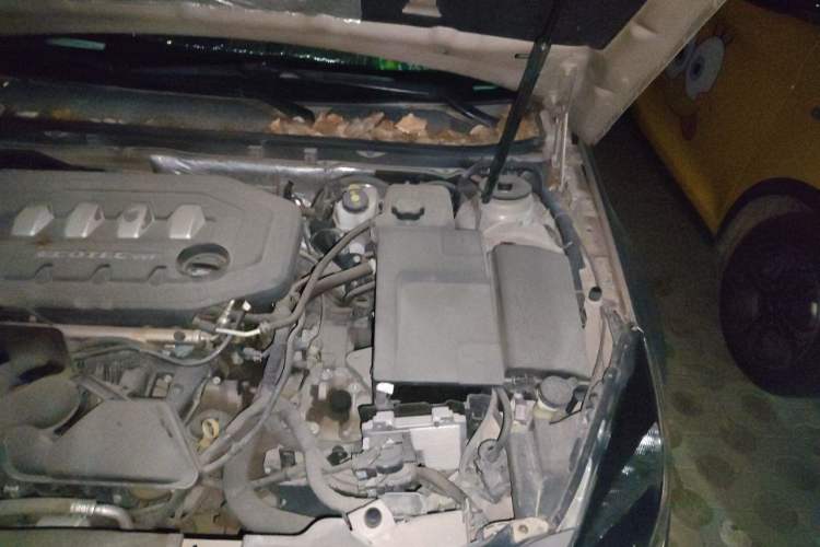 Used Buick Regal 2015 2.0L Leading Fashion Edition Engine Bay Left