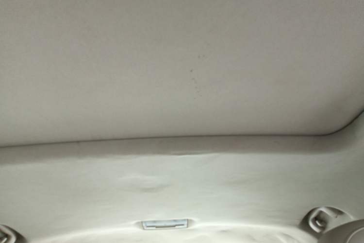 Used Buick Regal 2015 2.0L Leading Fashion Edition Headliner