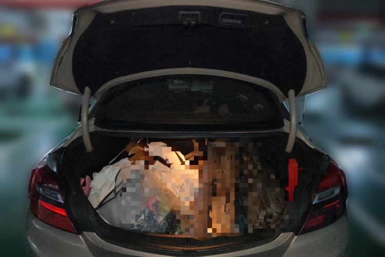 Used Buick Regal 2015 2.0L Leading Fashion Edition Trunk