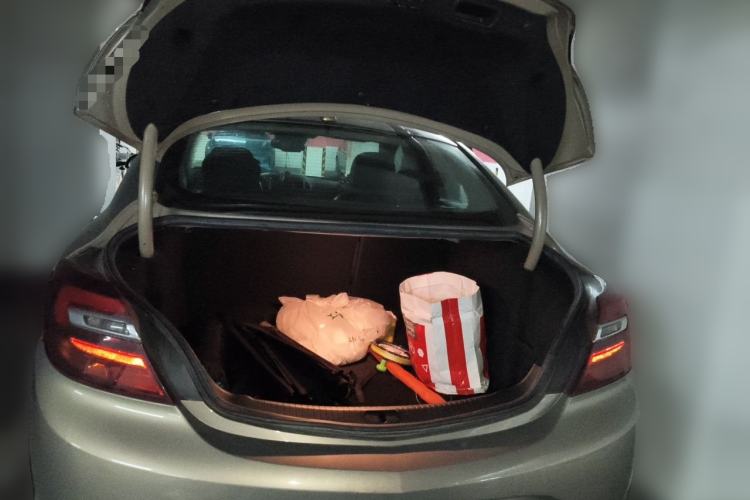 Used Buick Regal 2015 1.6T Elite Tech Model Trunk