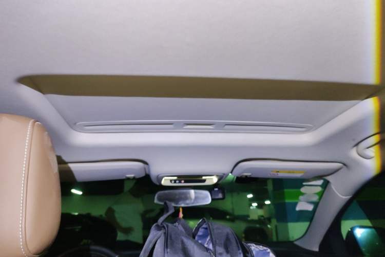 Used Buick Regal 2017 20T Elite Edition Headliner