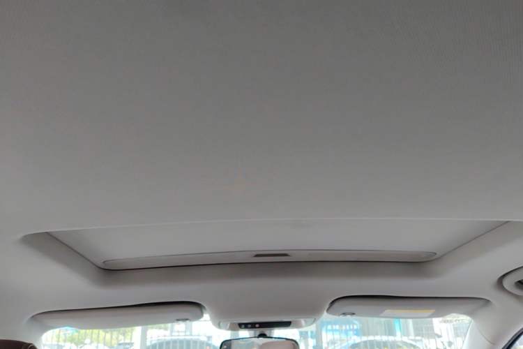 Used Buick Regal 2017 20T Elite Edition Headliner