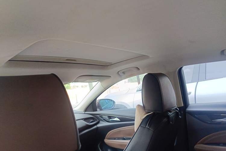 Used Buick Regal 2017 20T Elite Edition Headliner