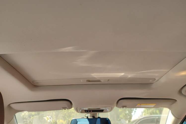 Used Buick Regal 2017 20T Elite Edition Headliner