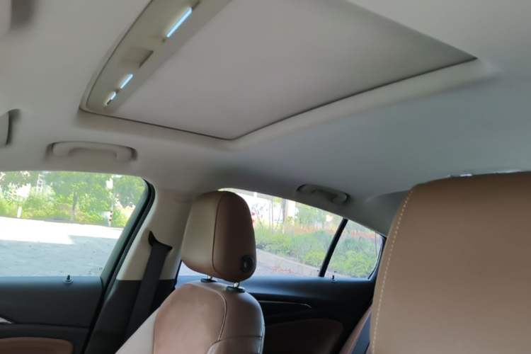 Used Buick Regal 2017 20T Elite Edition Headliner
