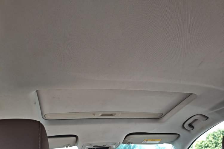 Used Buick Regal 2017 20T Elite Edition Headliner