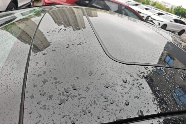 Used Buick Regal 2017 20T Elite Edition Roof