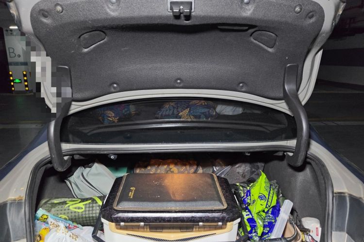 Used Buick Regal 2017 20T Elite Edition Trunk