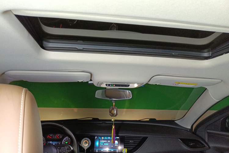 Used Buick Regal 2017 20T Elite Edition Headliner