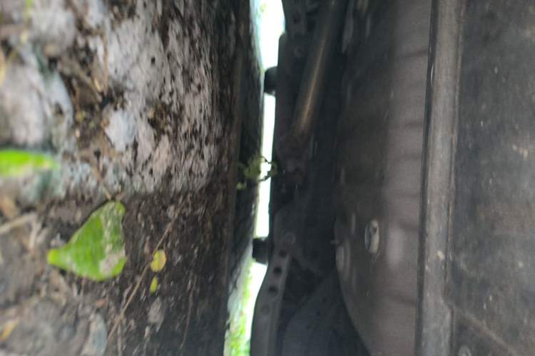 Used Buick Regal 2017 20T Luxury Model Chassis Rear