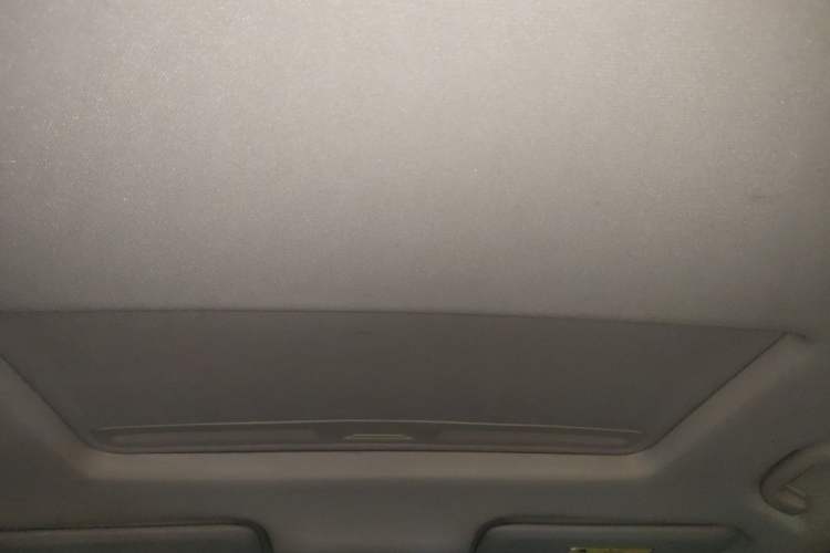 Used Buick Regal 2017 30H Luxury Version Headliner